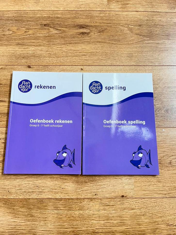Oefenboek wijzer over de basisschool spelling, Boeken, Schoolboeken, Zo goed als nieuw, Nederlands, Overige niveaus, Ophalen of Verzenden