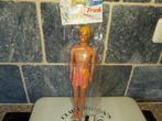 Barbie, ken , sindy, Verzamelen, Poppen, Ophalen of Verzenden, Zo goed als nieuw, Pop