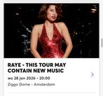 Raye staanplaatsen Amsterdam Ziggo Dome, Tickets en Kaartjes, Twee personen, Januari