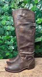 Nieuwe gave dorado riding boots van Frye maat 38 (maat 8), Hoge laarzen, Bruin, Frye, Nieuw