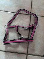 Veulen halster ( past ook op mini shet), Ophalen of Verzenden, Zo goed als nieuw, Overige soorten