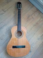 Nette gitaar van het merk Motion. (USA), Muziek en Instrumenten, Ophalen, Gebruikt, Klassieke of Spaanse gitaar