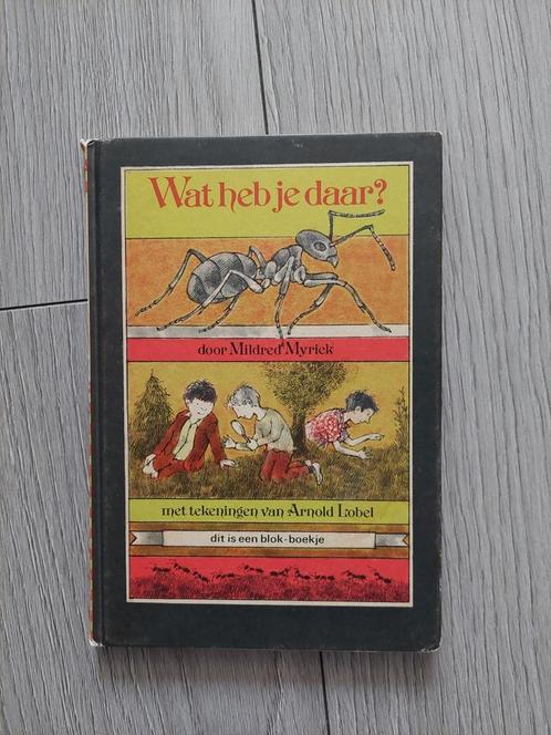 Wat heb je daar ? Blokboekje Arnold Lobel M. Myrick dr1 1980, Boeken, Prentenboeken en Plaatjesalbums, Zo goed als nieuw, Prentenboek