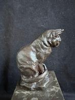 Poes (brons) op hoge natuurstenen sokkel., Ophalen of Verzenden