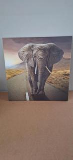Olifant op hout, Ophalen, Minder dan 50 cm, Zo goed als nieuw, Schilderij