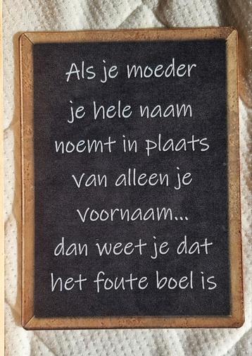 NIEUW TEKST PLAAT GEPERST KARTON - 5,- EURO VASTE PRIJS  beschikbaar voor biedingen