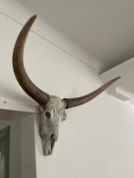 buffel skull longhoorn, Huis en Inrichting, Woonaccessoires | Wanddecoraties, Ophalen of Verzenden