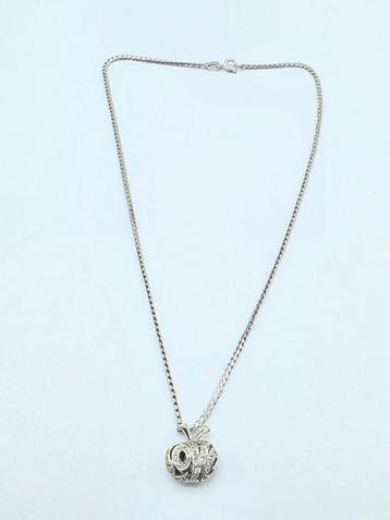 Zilveren Ketting Met Hanger Appel  beschikbaar voor biedingen