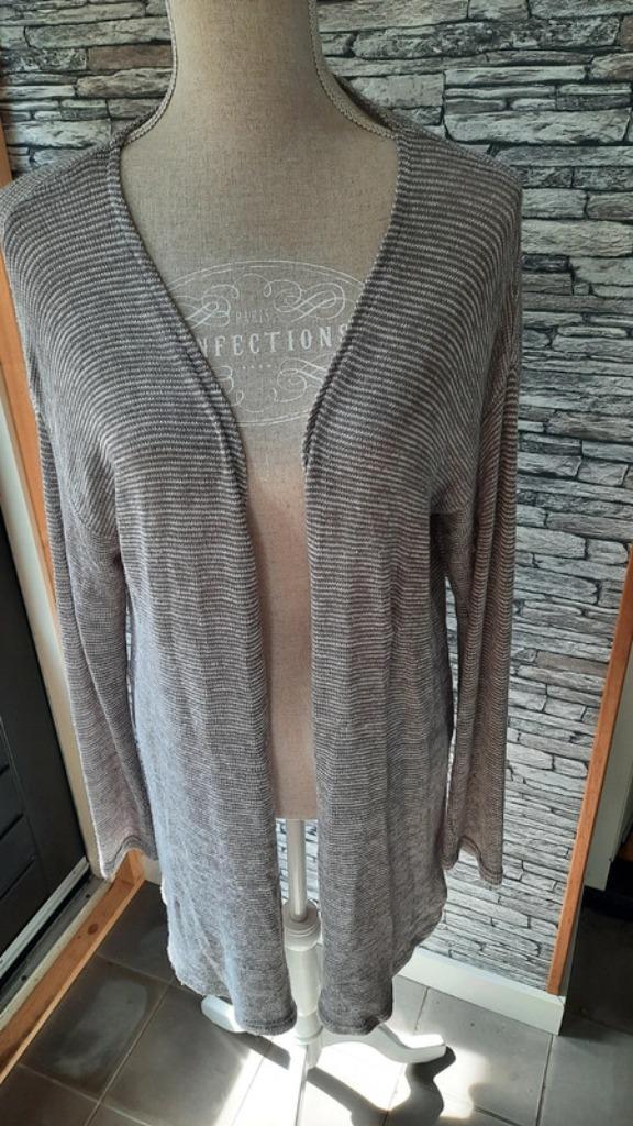 Grijs wit gemêleerd vest wijdmodel mt M, Kleding | Dames, Truien en Vesten, Zo goed als nieuw, Maat 38/40 (M), Grijs, Ophalen of Verzenden
