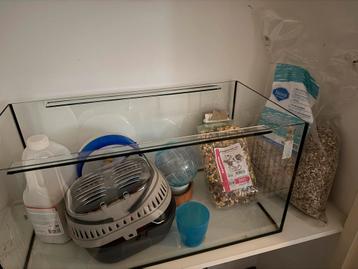 Hamster kooi + toebehoren beschikbaar voor biedingen