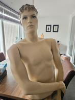 Torso Paspop / Fotomodel, Ophalen of Verzenden, Overige merken