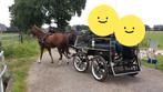 Te koop: Leon menwagen, Dieren en Toebehoren, Rijtuigen en Koetsen, Zo goed als nieuw, Marathonwagen