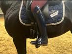 Derby dressuur rijlaarzen maat 39, Dieren en Toebehoren, Ophalen of Verzenden, Gebruikt