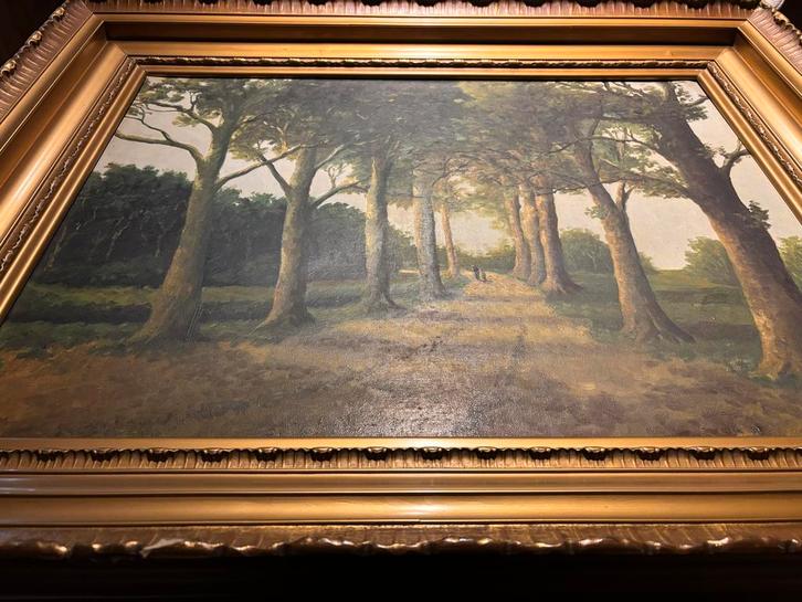 Schilderij: Bomenlaan, Antiek en Kunst, Kunst | Schilderijen | Klassiek, Ophalen