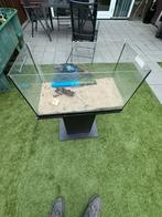 Aquarium + meubel 60x30x30 cm, Dieren en Toebehoren, Ophalen, Zo goed als nieuw, Leeg aquarium