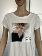 F660 Nieuw:  Esqualo mt XS=34 top t-shirt wit, Kleding | Dames, Nieuw, Maat 34 (XS) of kleiner, Ophalen of Verzenden, Wit