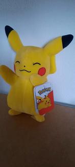 Pikachu, Kinderen en Baby's, Speelgoed | Knuffels en Pluche, Ophalen of Verzenden