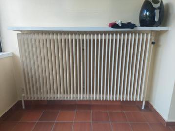 2 grote gietijzeren radiatoren beschikbaar voor biedingen