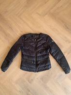 Goosecraft - Dons jasje, Maat 38/40 (M), Goosecraft, Blauw, Ophalen of Verzenden