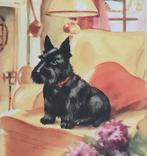 hond Schotse Terrier SCOTTISH TERRIER op de bank  1950, Verzenden, 1940 tot 1960, Overige thema's