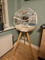 Omlet Vogelkooi, Dieren en Toebehoren, Ophalen, Gebruikt, Metaal, Vogelkooi