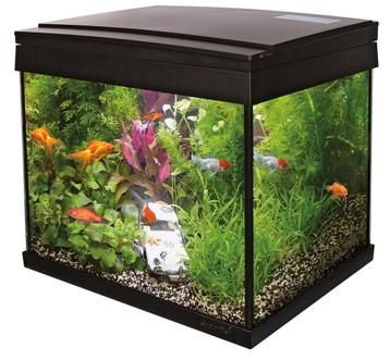 Aquarium 20L Goldfish kit beschikbaar voor biedingen