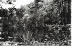 Oisterwijk- -Brouwerskuip., Verzamelen, Ansichtkaarten | Nederland, Verzenden, 1960 tot 1980, Gelopen, Noord-Brabant