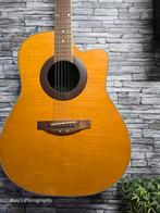 Vintage model Richwood Artist series semi akoestische gitaar, Muziek en Instrumenten, Ophalen, Gebruikt, Overige merken