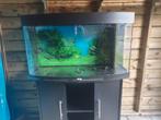 Zoetwater aquarium, Dieren en Toebehoren, Ophalen, Gebruikt, Gevuld zoetwateraquarium