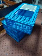 Transportkooi krat, Dieren en Toebehoren, Kooi, Minder dan 75 cm, Zo goed als nieuw, Ophalen