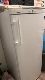 Te koop diepvries Liebherr GNP 2313-22 Kleur: wit, Gebruikt, 140 tot 160 cm, Ophalen, Vrieskast