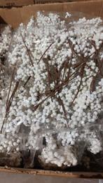 Kerst steker, Diversen, Kerst, Ophalen, Nieuw