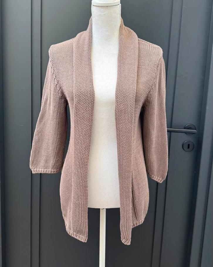 Peter Hahn taupe kleurige cardigan vest mt 44, Kleding | Dames, Truien en Vesten, Maat 42/44 (L), Bruin, Ophalen of Verzenden