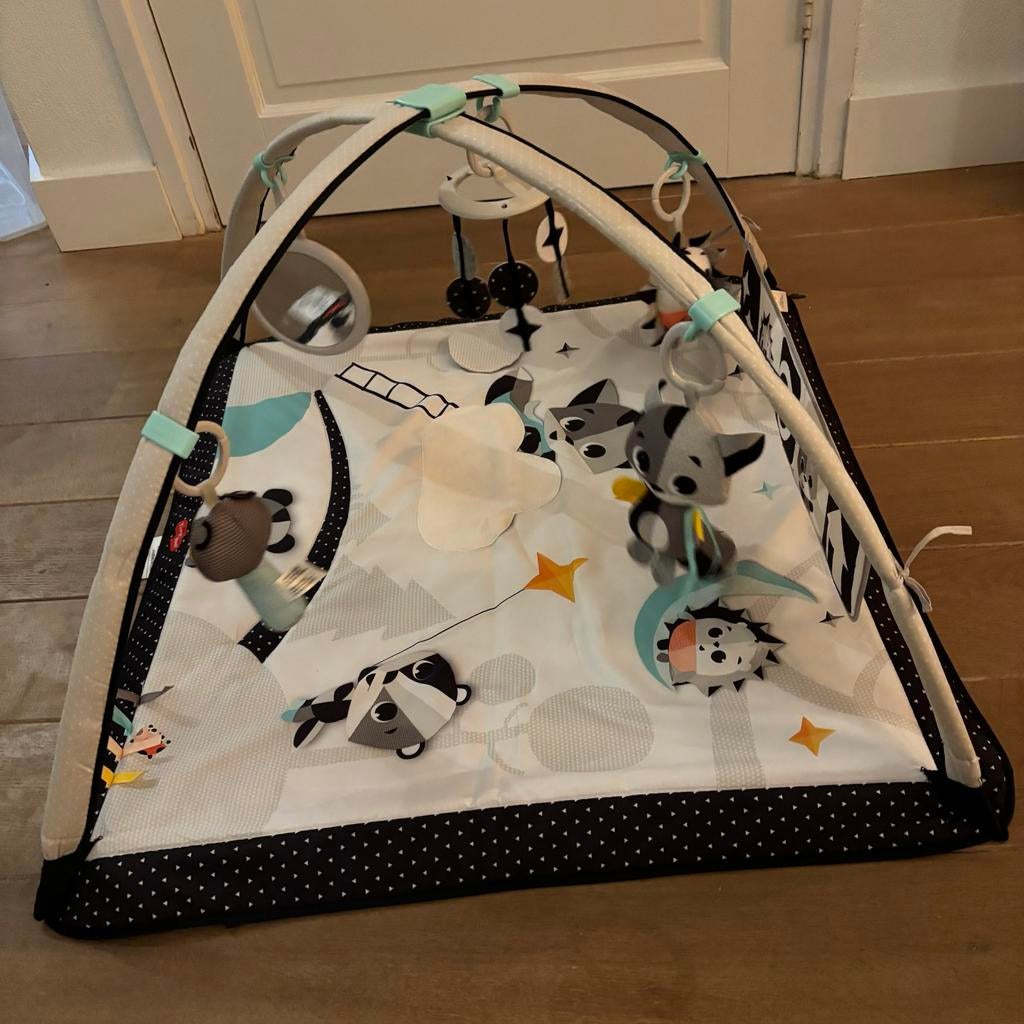 Tiny Love Speelmat - Babygym, Kinderen en Baby's, Speelgoed | Babyspeelgoed, Ophalen, Zo goed als nieuw, Babygym, Met geluid