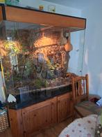 Paludarium / terrarium met op maat gemaakte onderkast, Dieren en Toebehoren, Ophalen, Gebruikt