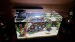 Aquarium 45 cm breed 25 cm hoog met visjes en kreeftje, Dieren en Toebehoren, Ophalen of Verzenden, Zo goed als nieuw