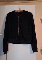 Truien en vesten, Kleding | Dames, Ophalen, Zo goed als nieuw, Maat 46/48 (XL) of groter