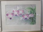 Aquarel genaamd - Thailand orchidee - 2000