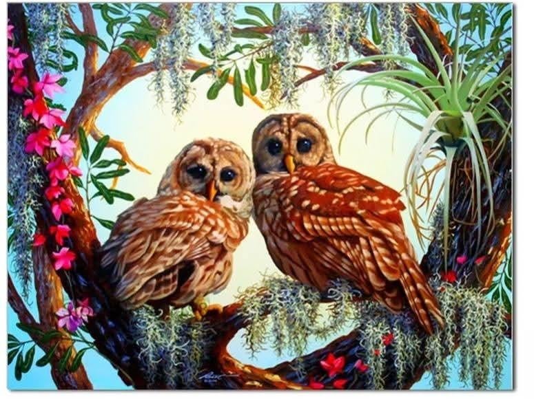 Diamond Painting 50x40 - Vierkante Steentjes, Diamond painting world 2021@gmail.com, Nieuw, Ophalen of Verzenden, N.v.t