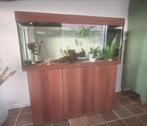 Juwel aquarium + onderkast wn 2 axolotl, Ophalen, Zo goed als nieuw, Gevuld zoetwateraquarium