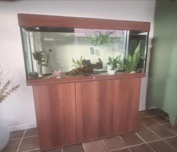 Juwel aquarium + onderkast wn 2 axolotl beschikbaar voor biedingen