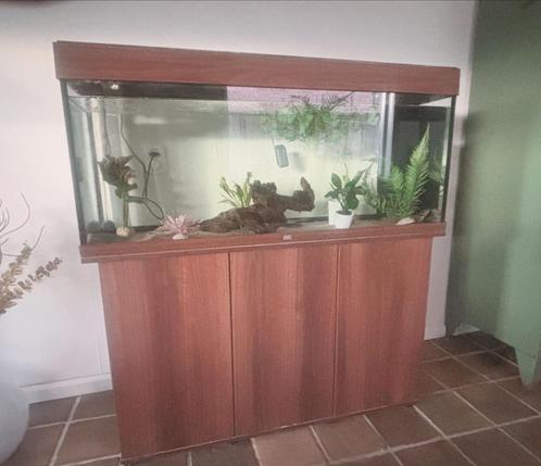 Juwel aquarium + onderkast wn 2 axolotl, Dieren en Toebehoren, Vissen | Aquaria en Toebehoren, Zo goed als nieuw, Gevuld zoetwateraquarium