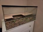 Gerbilarium 100x50x50, Kooi, Nieuw, Hamster, 75 tot 110 cm