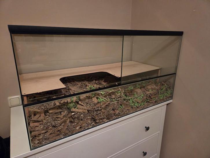 Gerbilarium 100x50x50, Dieren en Toebehoren, Knaagdieren en Konijnen | Hokken en Kooien, Nieuw, Kooi, Minder dan 60 cm, 75 tot 110 cm