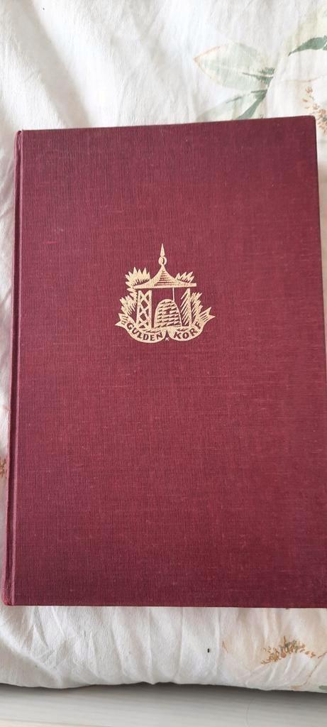 Geliefde dwaas door Willy Corsari, Boeken, Romans, Zo goed als nieuw, Nederland, Ophalen of Verzenden