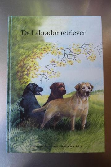 De Labrador Retriever Nederlandse Labrador Vereniging beschikbaar voor biedingen
