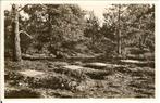 TW2859 Loenen centrale begraaf plaats oorlog slachtoffers, Verzamelen, Ansichtkaarten | Nederland, Verzenden, 1940 tot 1960, Ongelopen