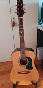 westerngitaar, Ophalen, Gebruikt, Western- of Steelstringgitaar, Met (piezo-)element