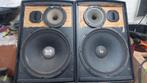 (Electrovoice) l zeck 15/3 actief, Gebruikt, 120 watt of meer, Front, Rear of Stereo speakers, Ophalen