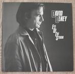 David Olney ‎– Eye Of The Storm, Ophalen of Verzenden, 1980 tot 2000, Zo goed als nieuw, 12 inch